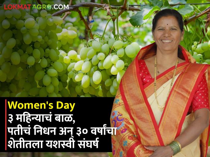 Womens Day special farmer varsha boraste success story Husband died 21 when she was 3 months old grape export | Womens Day : १७व्या वर्षी लग्न, ३ महिन्याचं बाळ अन् पतीचं निधन! पण 'त्या' खचल्या नाहीत; द्राक्षशेतीतून बदललं कुटुंबाचं रूपडं Womens Day special farmer varsha boraste success story Husband died 21 when she was 3 months old grape export | Womens Day : १७व्या वर्षी लग्न, ३ महिन्याचं बाळ अन् पतीचं निधन! पण 'त्या' खचल्या नाहीत; द्राक्षशेतीतून बदललं कुटुंबाचं रूपडं