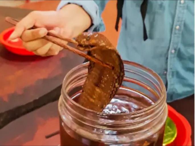 People drink snake venom juice people video goes viral | VIDEO : इथे विषारी सापाचं ज्यूस पितात लोक, जाणून घ्या कसं बनवलं जातं!