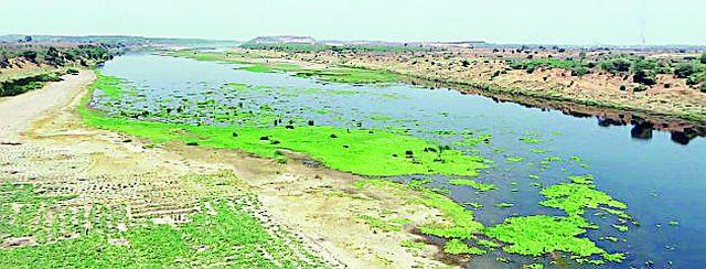 When will the 'Wardha Diversion' project get protection? | ‘वर्धा डायव्हर्शन’ प्रकल्पाला राजाश्रय मिळणार कधी?