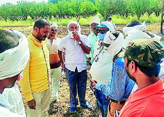 Scientists, officials, people's representatives on the agriculture | शास्त्रज्ञ, अधिकारी, लोकप्रतिनिधी बांधावर Scientists, officials, people's representatives on the agriculture | शास्त्रज्ञ, अधिकारी, लोकप्रतिनिधी बांधावर
