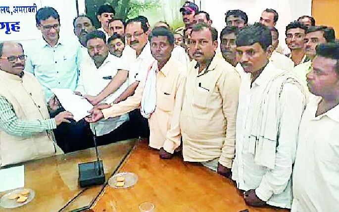 3 acres of beans burned | ५०० एकरांतील सोयाबीन जळाले