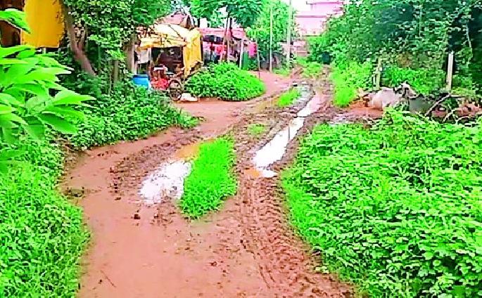 The slum dwellers in Akot are suffering in hell | आकोट येथील झोपडपट्टीवासीय भोगताहेत नरकयातना The slum dwellers in Akot are suffering in hell | आकोट येथील झोपडपट्टीवासीय भोगताहेत नरकयातना