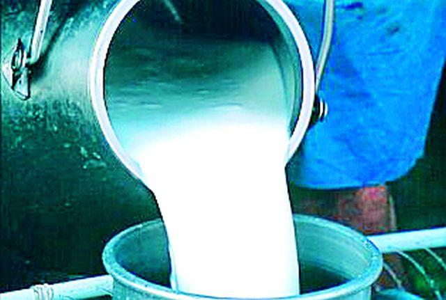 Increase in adulthood | दुधात भेसळीचे वाढतेय प्रमाण Increase in adulthood | दुधात भेसळीचे वाढतेय प्रमाण