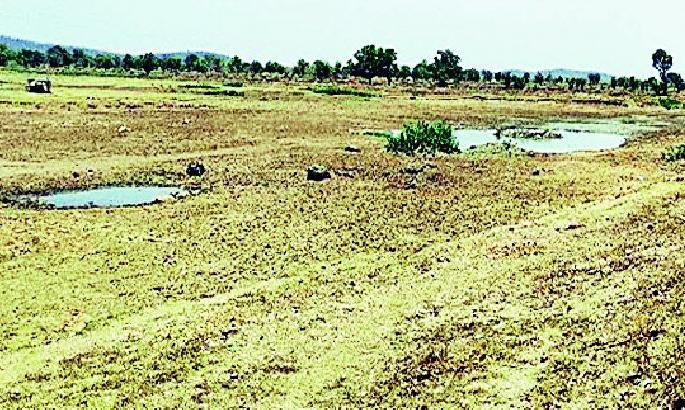 Lakes dry, water scarcity in villages | तलाव कोरडे, गावागावात पाण्याची टंचाई