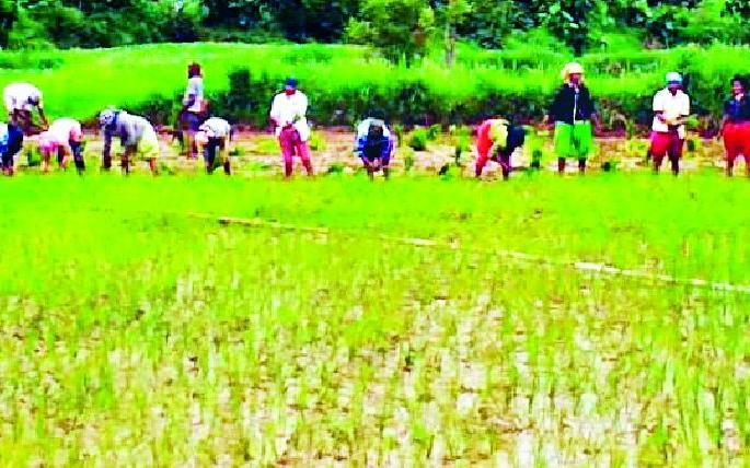 Even if it rains, there is no escape from the drought | पाऊस बरसला तरीही दुष्काळातून सुटका नाही Even if it rains, there is no escape from the drought | पाऊस बरसला तरीही दुष्काळातून सुटका नाही
