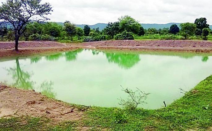 Out of the 219 fields, 94 are full of agriculture and 5 fields | २१९ पैकी ९४ शेततळे, ५ शेतबोड्या पूर्ण Out of the 219 fields, 94 are full of agriculture and 5 fields | २१९ पैकी ९४ शेततळे, ५ शेतबोड्या पूर्ण