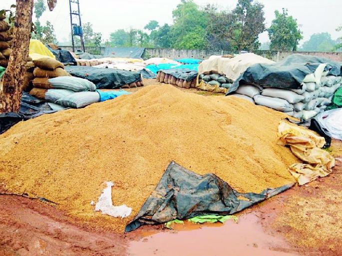 Paddy wetchimb on the open | उघड्यावरील धान ओलेचिंब Paddy wetchimb on the open | उघड्यावरील धान ओलेचिंब