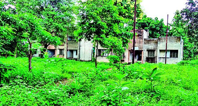 The District Collector reviewed the newborn | जिल्हाधिकाऱ्यांनी केली नवोदयची पाहणी