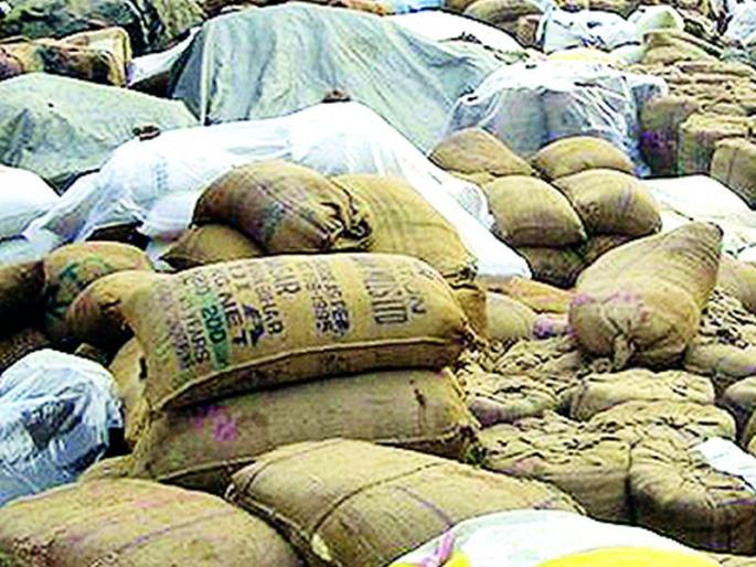 Extend the registration period for grain sales | धान्य विक्रीसाठी नोंदणीची मुदत वाढवा Extend the registration period for grain sales | धान्य विक्रीसाठी नोंदणीची मुदत वाढवा