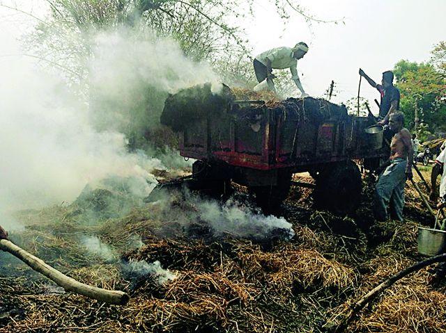 A fire from a tractor carrying tractor | चाऱ्याची वाहतूक करणाऱ्या ट्रॅक्टरला आग A fire from a tractor carrying tractor | चाऱ्याची वाहतूक करणाऱ्या ट्रॅक्टरला आग