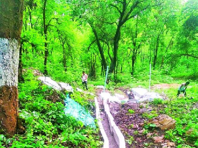 Bandar Jhira became a devotee, a tourist attraction | बंदरझिरा बनले भाविक, पर्यटकांचे आकर्षण केंद्र Bandar Jhira became a devotee, a tourist attraction | बंदरझिरा बनले भाविक, पर्यटकांचे आकर्षण केंद्र