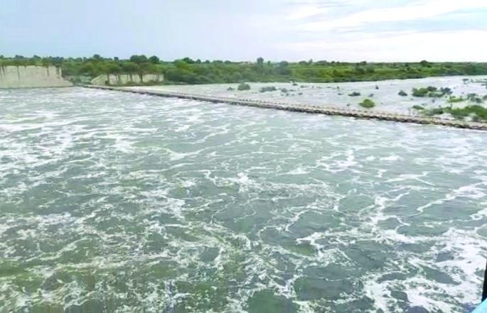 Mus project on the way to overflow! | मस प्रकल्प ‘ओव्हर फ्लो’च्या मार्गावर! Mus project on the way to overflow! | मस प्रकल्प ‘ओव्हर फ्लो’च्या मार्गावर!