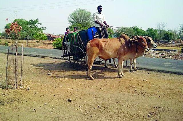 The night for a bucket to fall water | एक बादली पाण्यासाठी जागावी लागते रात्र The night for a bucket to fall water | एक बादली पाण्यासाठी जागावी लागते रात्र