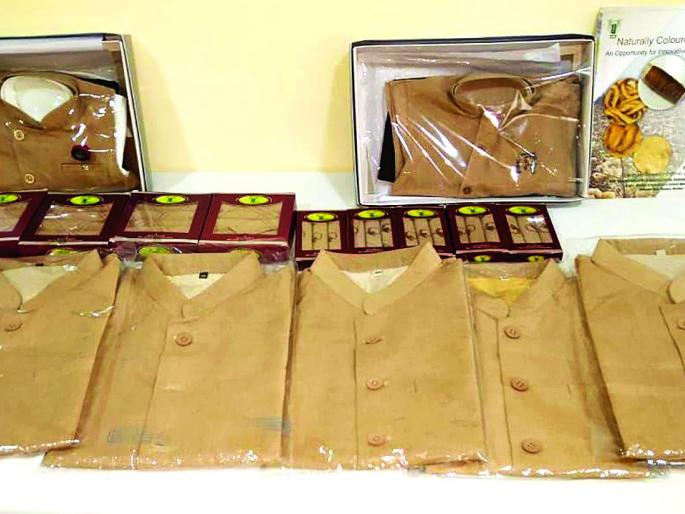 Natural colored fabrics will now be available from cotton! | कापसापासून मिळणार आता नैसर्गिक रंगीत कापड ! Natural colored fabrics will now be available from cotton! | कापसापासून मिळणार आता नैसर्गिक रंगीत कापड !