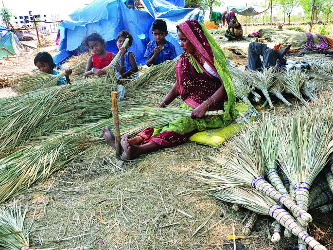 Wanderer from Chattisgarh in Akola | भटक्यांची झाडूची ‘फॅक्टरी’ Wanderer from Chattisgarh in Akola | भटक्यांची झाडूची ‘फॅक्टरी’