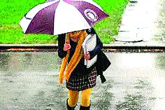 Hurry while handling the office | दफ्तर सांभाळताना धांदल