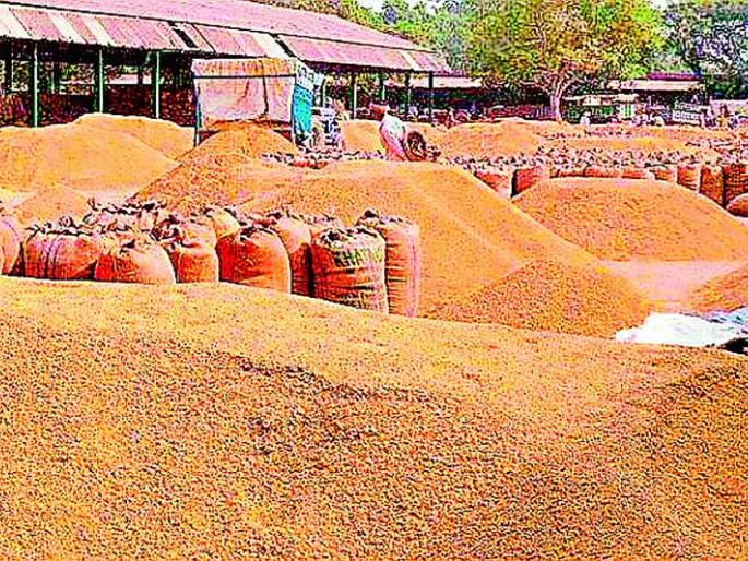 Purchase of grain at less than guaranteed price in Desaiganj | देसाईगंजात हमीभावापेक्षाही कमी दराने धानाची खरेदी Purchase of grain at less than guaranteed price in Desaiganj | देसाईगंजात हमीभावापेक्षाही कमी दराने धानाची खरेदी