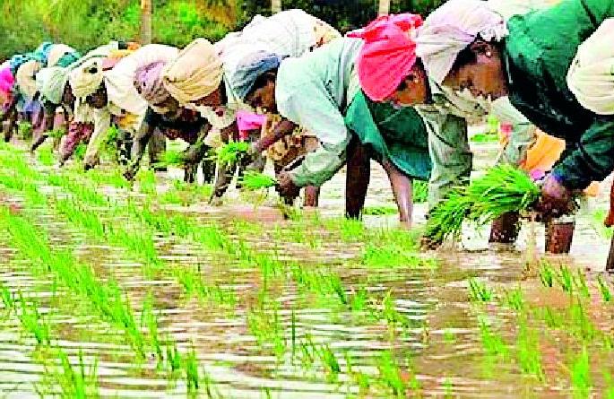 18% rainfall deficit in the district | जिल्हाभरात १८ टक्के पावसाची पडली तूट