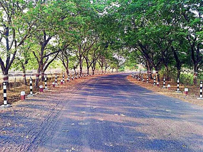 The streets are full of mercury | पारा चढल्याने रस्ते निर्मनुष्य