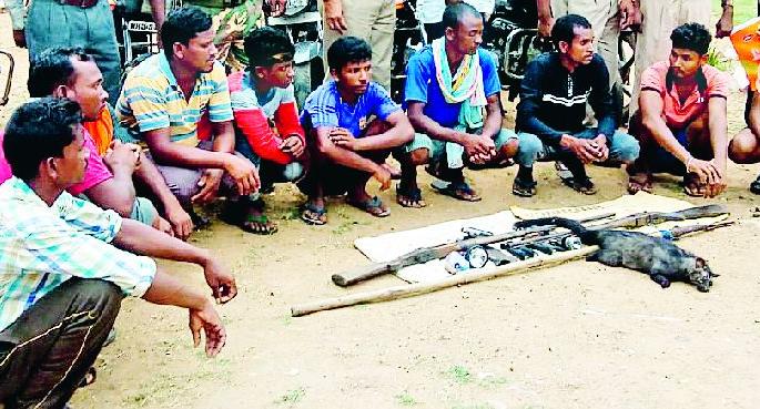 Gajaad with a gang of hunter-gatherers | उदमांजराची शिकार करणारी टोळी साहित्यासह गजाआड