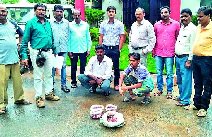 Two arrested for selling randkeera meat | रानडुकराचे मांस विकणाऱ्या दोघांना अटक