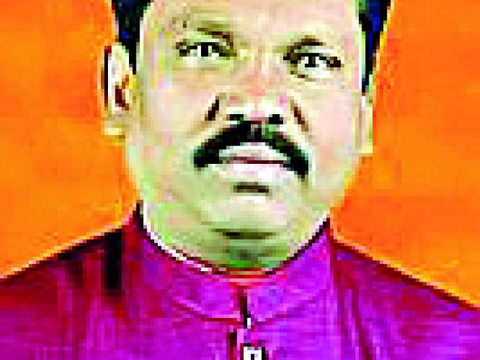 Lok Sabha Election 2019; Five years of MP's wealth increase | Lok Sabha Election 2019; पाच वर्षात खासदारांच्या संपत्तीत चौपट वाढ