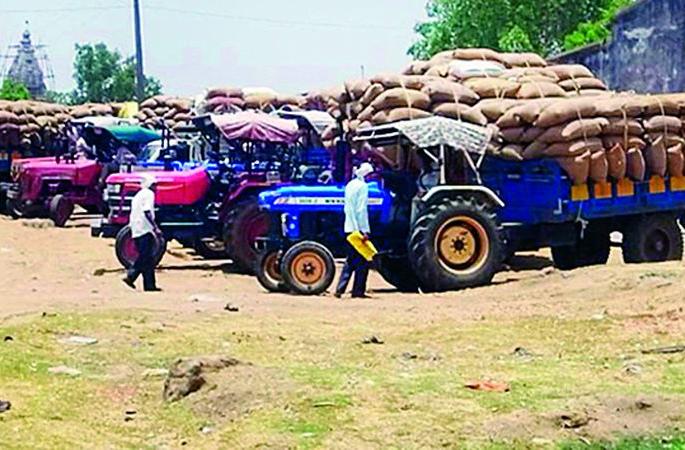 'That' director wanders to match the paddy | धानाची जुळवाजुळव करण्यासाठी ‘त्या’ संचालकांची भटकंती सुरु 'That' director wanders to match the paddy | धानाची जुळवाजुळव करण्यासाठी ‘त्या’ संचालकांची भटकंती सुरु