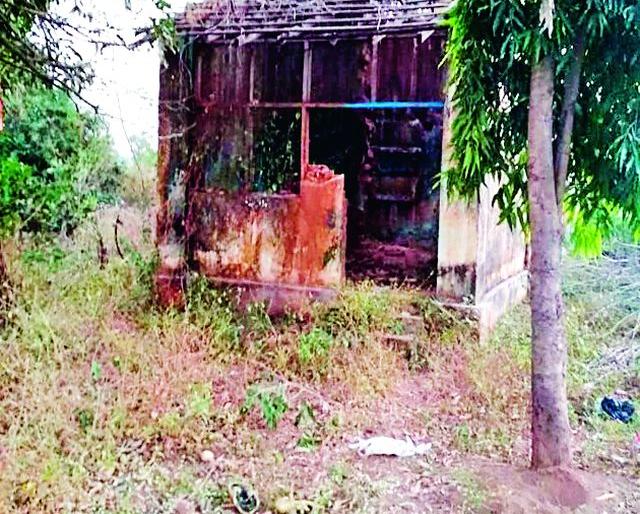 The worsening of the tenements of the warehouses | वनरक्षकांच्या सदनिकांची दुरवस्था