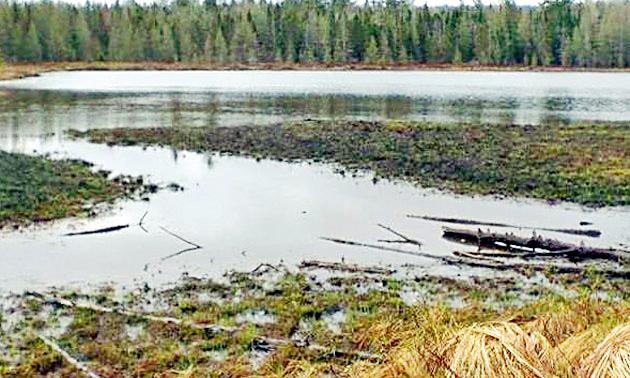 May one go through water | एका पाण्याने जाणार धानपीक May one go through water | एका पाण्याने जाणार धानपीक