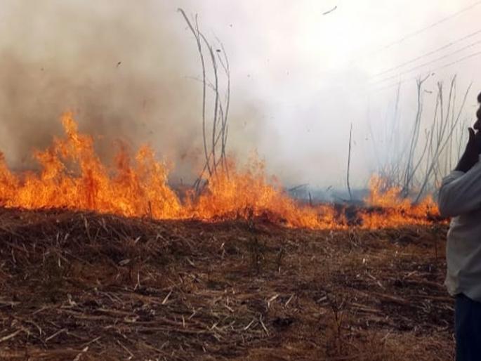 The electric fire caused by the electric star wounds | विद्युत तारा घासल्याने लागली उसाला आग The electric fire caused by the electric star wounds | विद्युत तारा घासल्याने लागली उसाला आग