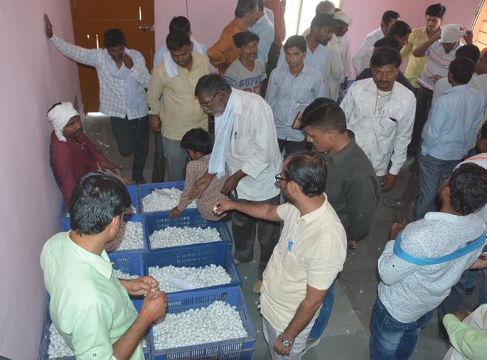 Buy nine quintals of silk in Jalna | जालन्यात नऊ क्विंटल रेशीम खरेदी