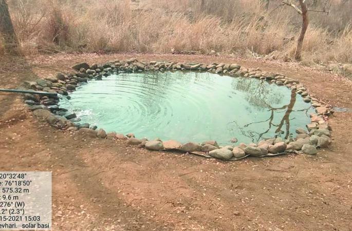 'Satan Lotan' in Gyanganga Sanctuary for Wildlife | वन्य प्राण्यांसाठी ज्ञानगंगा अभयारण्यात ‘साटण लोटण’