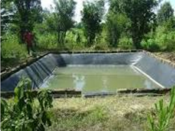 The farms that supported the drought became orphans | दुष्काळात आधार देणारे शेततळे झाले पोरके The farms that supported the drought became orphans | दुष्काळात आधार देणारे शेततळे झाले पोरके