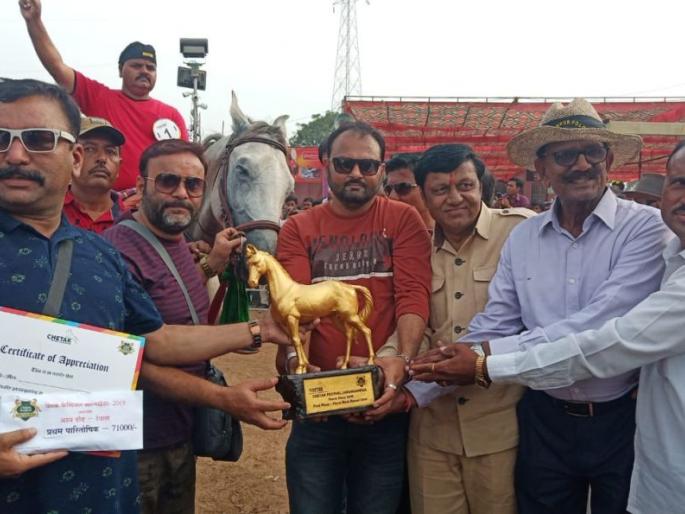 Horse race for horse racing | घोड्यांच्या शर्यतीसाठी अश्वपे्रमींची गर्दी Horse race for horse racing | घोड्यांच्या शर्यतीसाठी अश्वपे्रमींची गर्दी