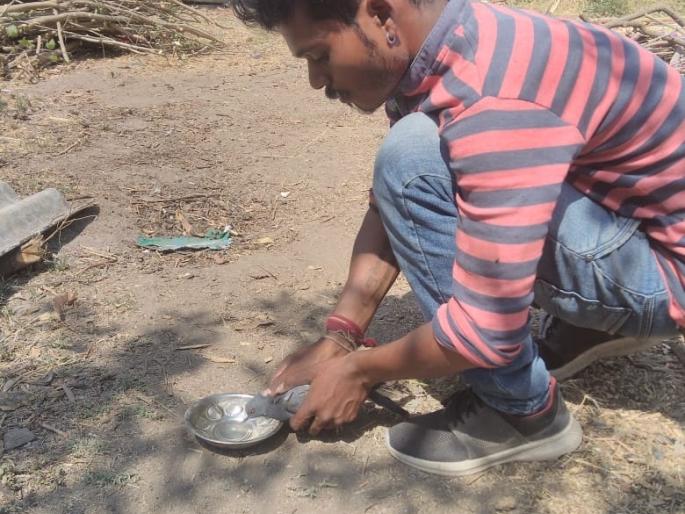 Due to extreme heat, animal life threatens birds | अति उष्माघातामुळे पशू-पक्ष्यांचे जीवन धोक्यात Due to extreme heat, animal life threatens birds | अति उष्माघातामुळे पशू-पक्ष्यांचे जीवन धोक्यात