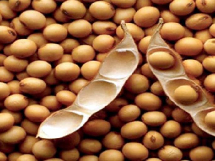Parbhani: The extent of the crossing of soybean crossed | परभणी : सोयाबीनने ओलांडली हमीभावाची सीमा Parbhani: The extent of the crossing of soybean crossed | परभणी : सोयाबीनने ओलांडली हमीभावाची सीमा