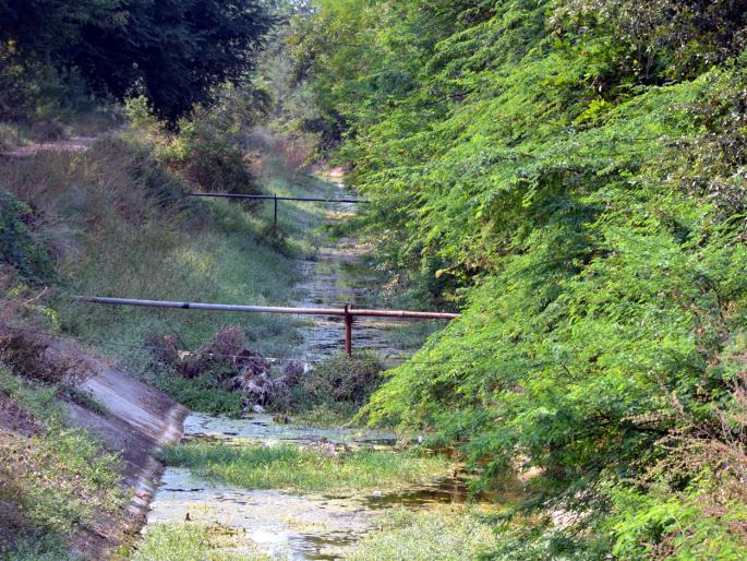 Administration of canal repairs in Parbhani district | परभणी जिल्ह्यात कालव्यांच्या दुरुस्तीला प्रशासनाने दिला फाटा Administration of canal repairs in Parbhani district | परभणी जिल्ह्यात कालव्यांच्या दुरुस्तीला प्रशासनाने दिला फाटा