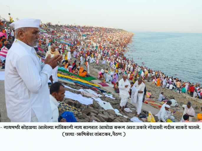 Lakhs of pilgrims from Drought | दुष्काळाचे सावट सारुन लाखो भाविक नाथचरणी Lakhs of pilgrims from Drought | दुष्काळाचे सावट सारुन लाखो भाविक नाथचरणी
