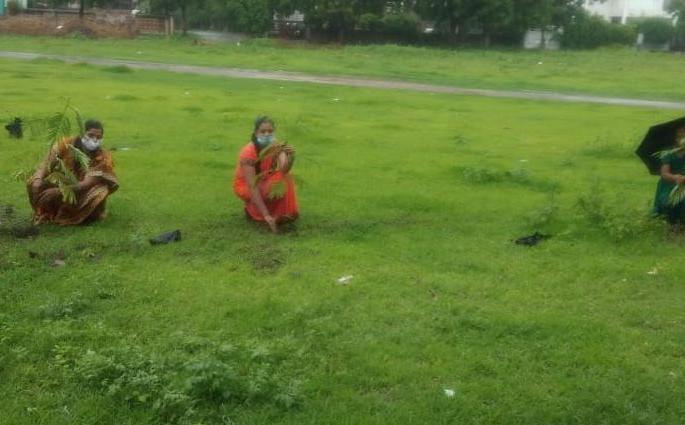 Tree planting on the occasion of Forest Conservation Day in Bhusawal | भुसावळात वनसंवर्धन दिनानिमित्त वृक्षारोपण