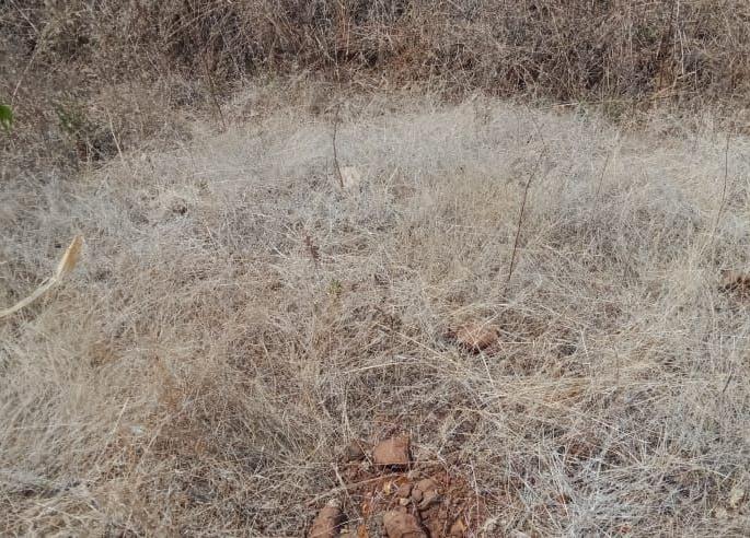 Chukka sale of government land | सरकारी गायरान जागेची चक्क विक्री Chukka sale of government land | सरकारी गायरान जागेची चक्क विक्री