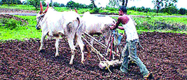 Kharif season postponement of rain! | पावसाअभावी खरीप हंगाम लांबणीवर !