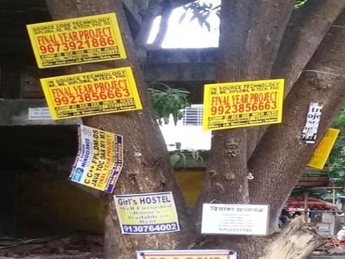 Nailing trees for billboards will result in a crime Municipal warning | जाहिरात फलकांसाठी झाडांना खिळे ठोकाल तर होईल गुन्हा दाखल; महापालिकेचा ईशारा Nailing trees for billboards will result in a crime Municipal warning | जाहिरात फलकांसाठी झाडांना खिळे ठोकाल तर होईल गुन्हा दाखल; महापालिकेचा ईशारा
