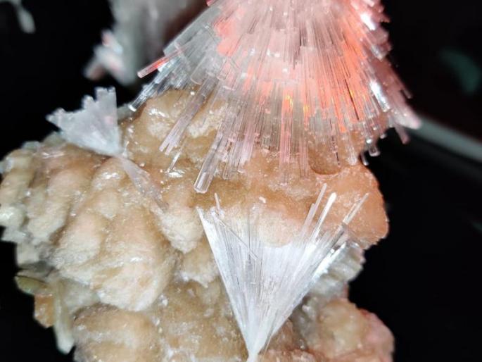 Theft of valuable rocks and forest produce from Gautala, Autramghat Sanctuary | गौतळा, औट्रामघाट अभयारण्यातून मौल्यवान खडक व वनउपज चोरीस Theft of valuable rocks and forest produce from Gautala, Autramghat Sanctuary | गौतळा, औट्रामघाट अभयारण्यातून मौल्यवान खडक व वनउपज चोरीस