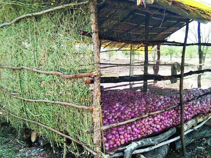 At very low cost; Onion chawl erected in the field | अत्यल्प स्वखर्चातून; शेतात उभी केली कांदा चाळ At very low cost; Onion chawl erected in the field | अत्यल्प स्वखर्चातून; शेतात उभी केली कांदा चाळ
