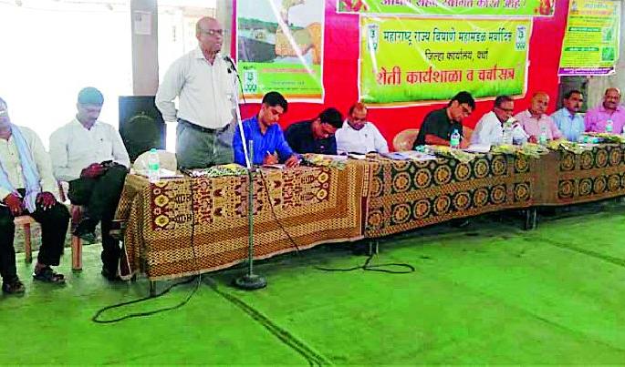 Consider the land when planting crops | पिकांची लागवड करताना जमिनीचा विचार करा Consider the land when planting crops | पिकांची लागवड करताना जमिनीचा विचार करा