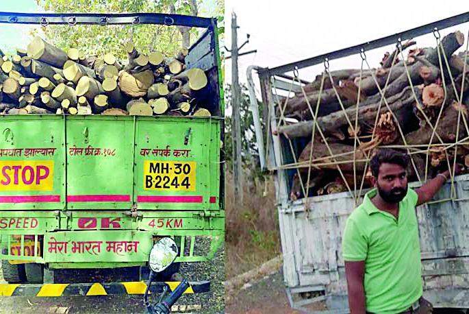 Two vehicles carrying illegal logistics of wood caught | लाकडाची अवैध वाहतूक करणारी दोन वाहने पकडली Two vehicles carrying illegal logistics of wood caught | लाकडाची अवैध वाहतूक करणारी दोन वाहने पकडली