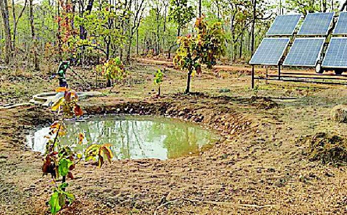 667 waterfalls for wild animals in the forest of the district | जिल्ह्यातील जंगलात वन्य प्राण्यांसाठी ६६७ पाणवठे 667 waterfalls for wild animals in the forest of the district | जिल्ह्यातील जंगलात वन्य प्राण्यांसाठी ६६७ पाणवठे