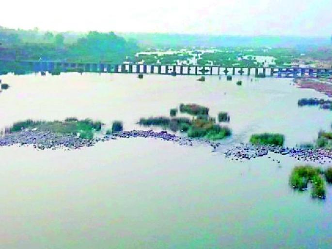 Wardha River, which has millions of doors to the door of death | लाखोंना जगविणारी वर्धा नदी मरणाच्या दारात