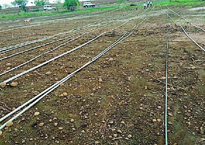 Around 150 acres of land | १५० एकरात तारा पडून Around 150 acres of land | १५० एकरात तारा पडून