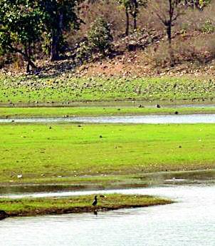 Three projects in the winter solved | हिवाळ्यातच तीन प्रकल्पांत ठणठणात Three projects in the winter solved | हिवाळ्यातच तीन प्रकल्पांत ठणठणात